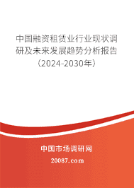 2024年融資租賃業市場現狀分析 中國融資租賃業行業現狀調研及未來發展趨勢分析報告(2024-2030年)